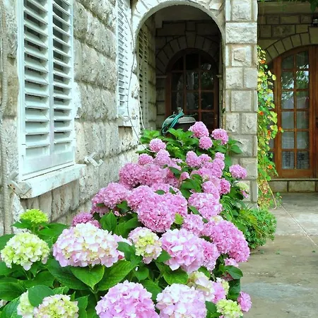 Maison d'hôtes Radic