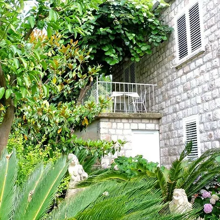 Maison d'hôtes Radic Lopud
